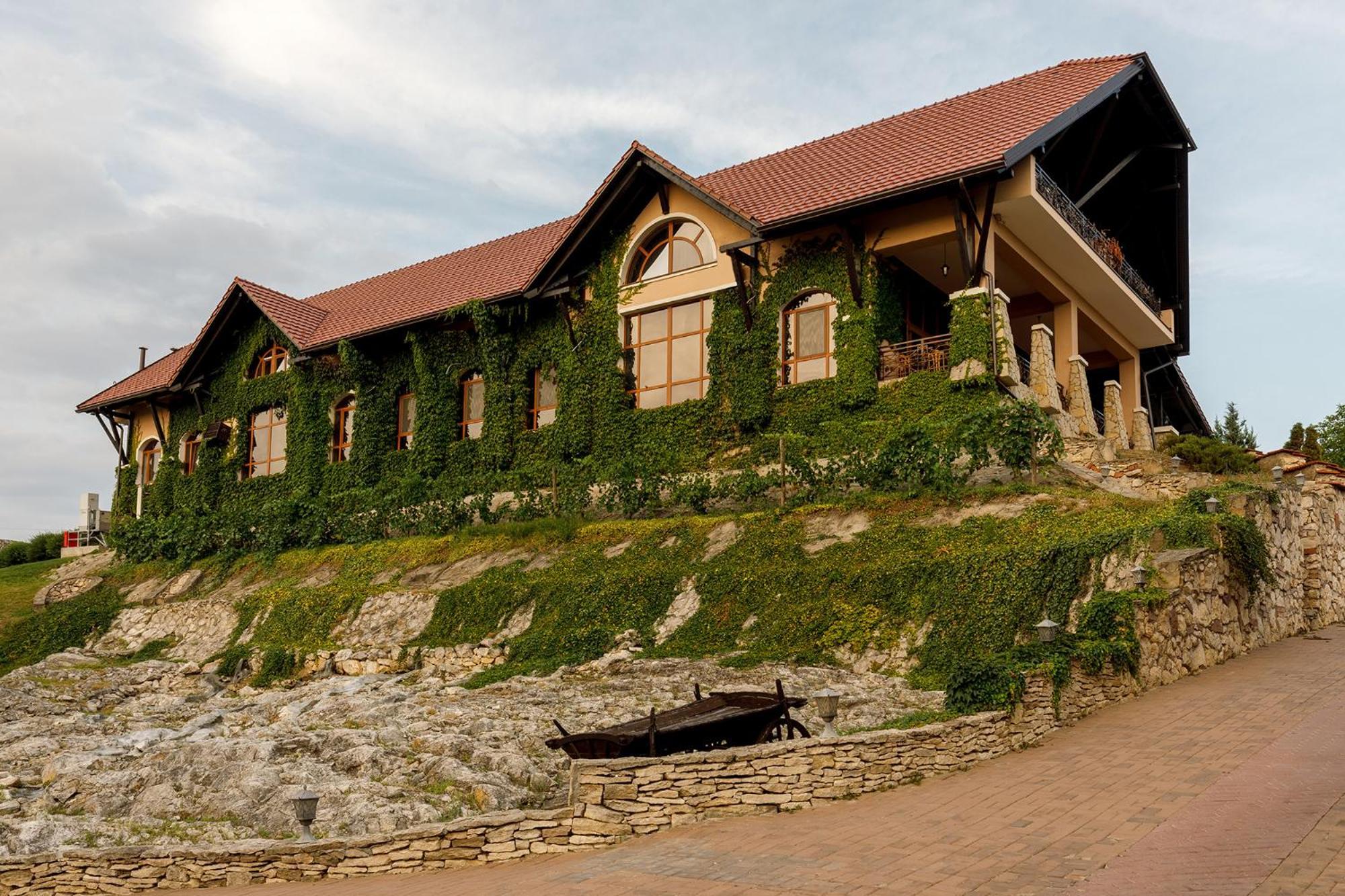 Chateau Vartely Orhei Eksteriør billede